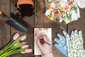 gardening-theme-flat-lay_925x