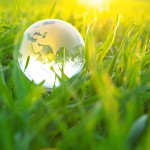 globe in  grass